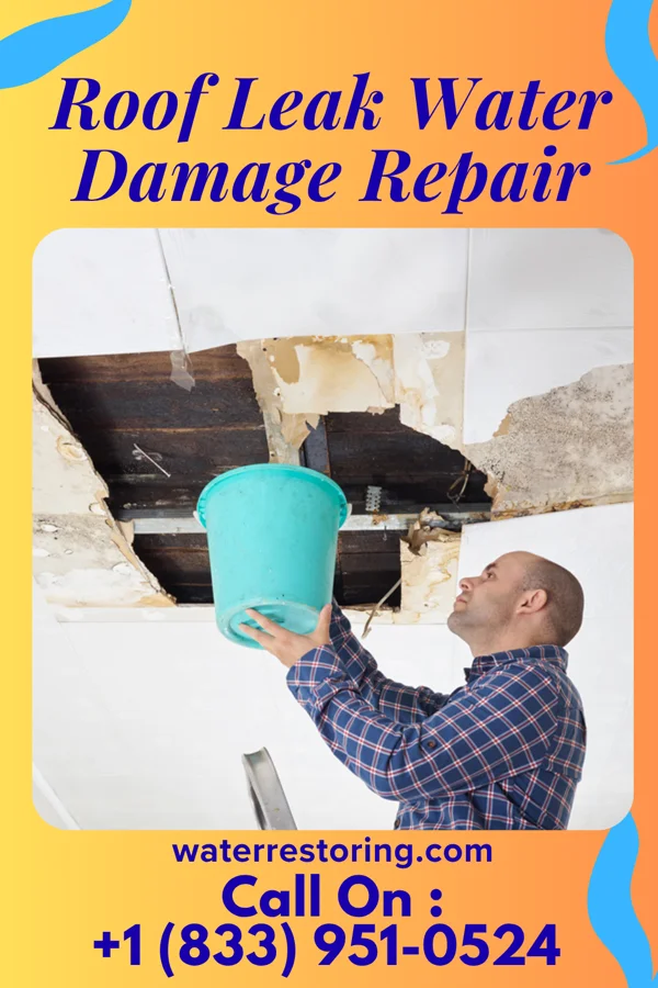 Roof Leak Water Damage Repair in Eupora, MS