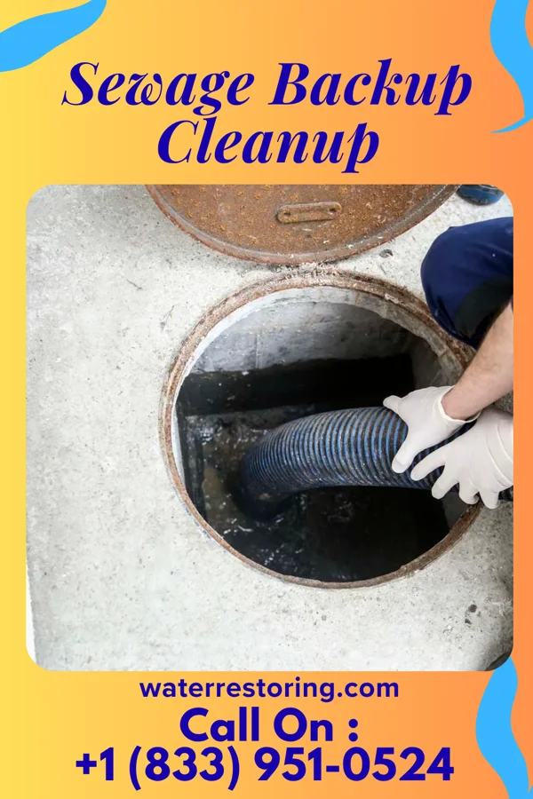 Sewage Backup Cleanup in Eupora, MS