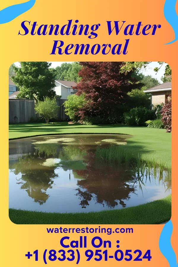 Standing Water Removal in Eupora, MS